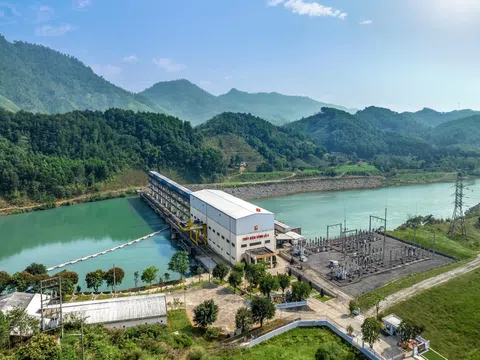 Bitexco Power bị phạt vì vi phạm trong lĩnh vực chứng khoán