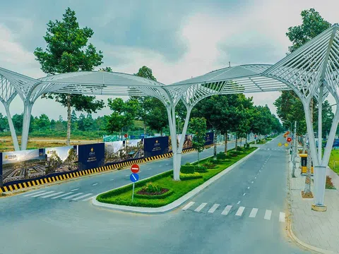 Vì sao một doanh nghiệp gắn với Kita Group lại nằm trong top nợ thuế lớn nhất Cần Thơ?