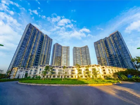 Sunshine Homes chuyển nhượng gần 1.500 tỷ đồng để làm gì trong chiến lược tái cơ cấu?