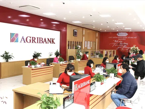 Thanh tra NHNN đã chỉ ra những tồn tại gì tại Agribank Đồng Tháp?