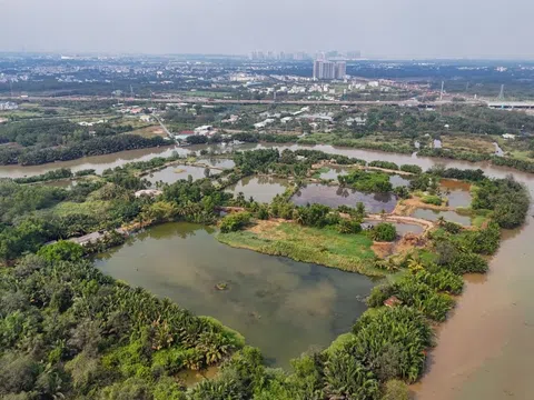 Nghịch lý thừa kế và rào cản pháp lý đối với đất thừa kế