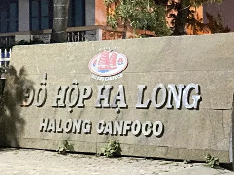 Điều gì đang kéo cổ phiếu Đồ hộp Hạ Long rơi thẳng xuống giá sàn?