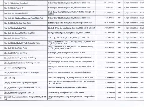 Chi nhánh Hedy International Clinic vì sao nợ thuế gần 9 tỷ đồng tại TP.HCM?