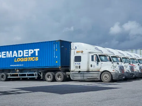 Doanh nghiệp liên quan Gemadept nợ thuế gần 5 tỷ đồng, tác động ra sao đến toàn hệ thống?