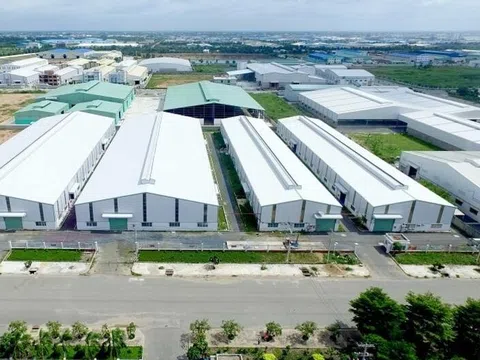 Vì sao Giám đốc Công ty Khu Công nghiệp Long An đứng trước nguy cơ bị tạm hoãn xuất cảnh?