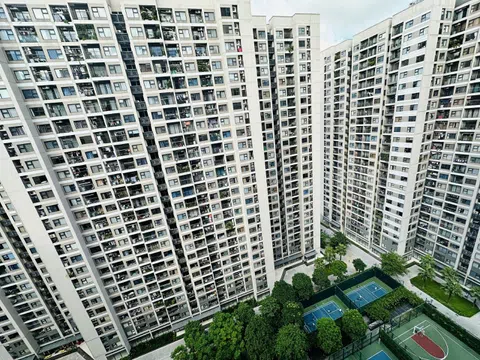 Bộ Xây dựng: Chung cư không bắt buộc thi tuyển phương án kiến trúc