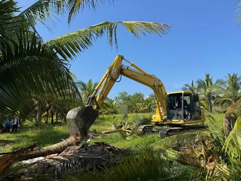 Cưỡng chế thu hồi gần 1ha đất rừng phòng hộ tại phú quốc