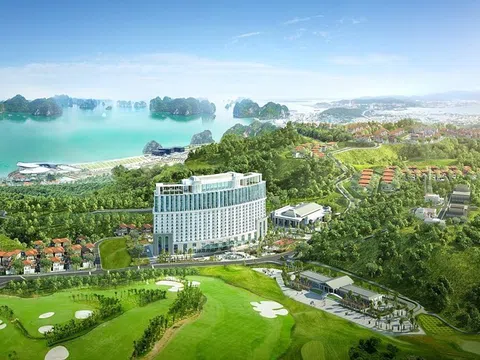 Vì sao Quảng Ninh yêu cầu thu hồi nợ thuế tại 2 dự án 16.000 tỷ của FLC?