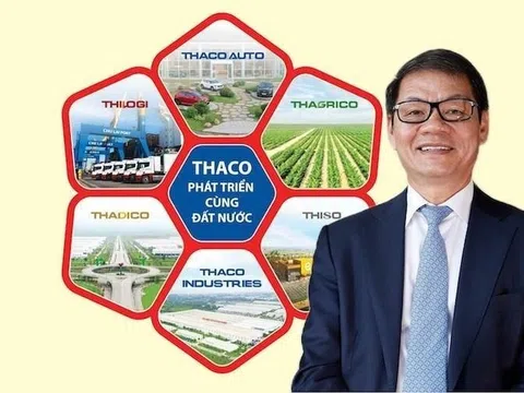 Vì sao doanh nghiệp trong hệ sinh thái Trần Bá Dương lọt diện kiểm tra thuế?