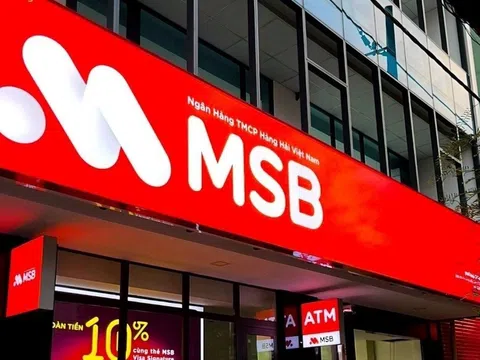 MSB kinh doanh ra sao trước khi bị đưa vào kế hoạch kiểm tra của Cục Thuế?