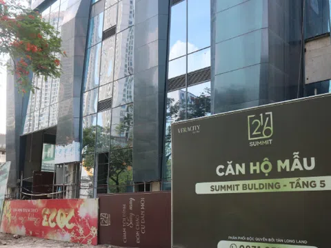 Bị phạt vì công bố thông tin trái phiếu, Veracity đang kinh doanh ra sao?