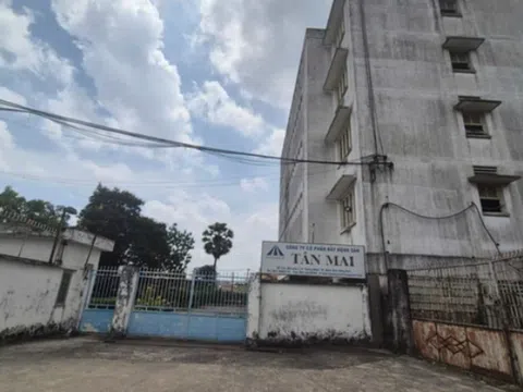 Vì sao Bất động sản Tân Mai bị buộc nộp lại hơn 22 tỷ đồng?