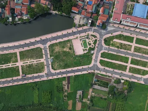 Bỏ cọc đấu giá đất bị cấm tham gia trong 5 năm