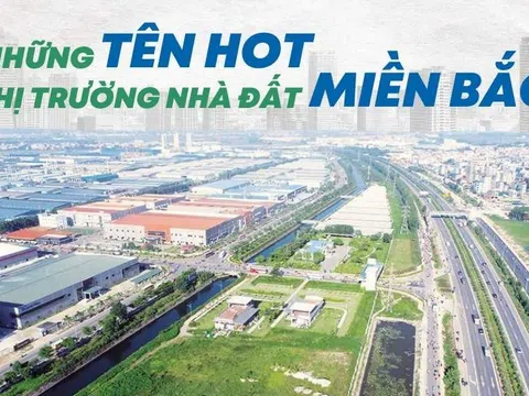 Những cái tên hot trong thị trường nhà đất miền Bắc