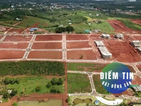 Điểm tin bất động sản 6/7: Lâm Đồng cho tách thửa trở lại nhưng quy định mới