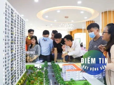 Điểm tin bất động sản 31/8: Doanh số bán hàng nhiều doanh nghiệp BĐS dự báo giảm