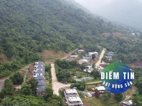 Điểm tin bất động sản 2/9: Xử lý nghiêm trường hợp san đồi, lấp hồ trái phép