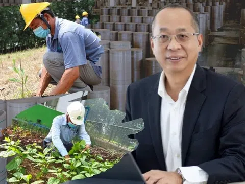 Ông chủ nhà máy giấy Hậu Giang trồng cây, nuôi cá những ngày "3 tại chỗ"