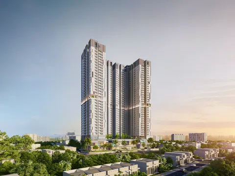 Căn hộ Bình Dương 'dành chỗ' cho chim làm tổ