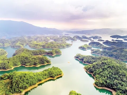 Có gì tại dự án 23.000ha tại Đăk Nông của liên danh Novaland Đất Tâm?