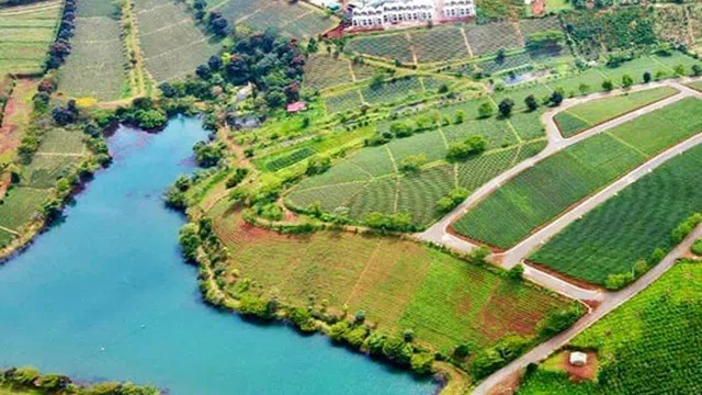 Lâm Đồng: Siết chặt quản lý, công khai thông tin quy hoạch và dự án bất động sản